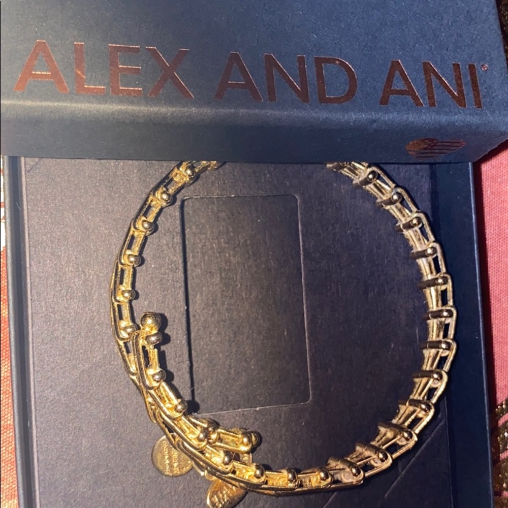 Alex and Ani Gypsy 66 Wrap Expandable Bracelet